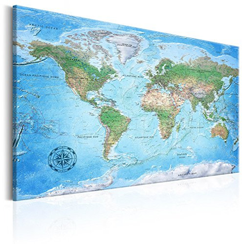 murando - Tableau à Épingles et Peinture sur Toile Combinés 90x60 cm - Avec Crochets Clous et Punaises Argentées - Panneau en Fibres pour Notes et Affichage - Carte du monde k-A-0300-v-a