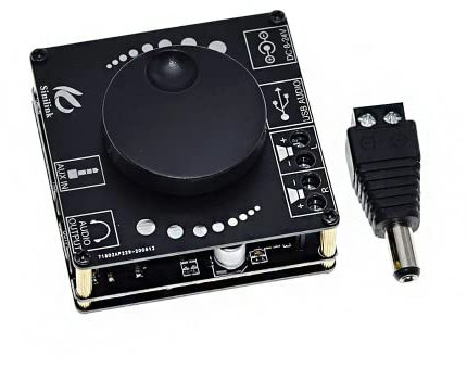 DollaTek Bluetooth 5.0 20 W+20 W Stereo Amplificatore di Potenza Scheda Mobile Control APP 12 V/24 V Ad Alta Potenza Modulo Amplificatore Digitale