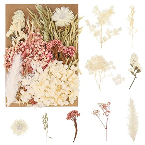 Bohoman Fiori Secchi Naturali, Veri Fiori Secchi per Resina Misti Petali e Foglie di Fiori Pressati Eterna Fiore per Fai da Te Scrapbooking Candele Decorazione