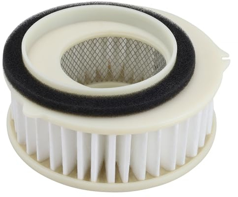 LOCOPOW 4TR-14451-00 Filtro aria per Yamaha V Star 650 XVS650 Custom 1997-2016 / V Star 650 XVS650 Custom Raven/V Star 650 XVS650 Custom con fiamme/ XVS650A Classic 1998-2010/ XVS650AT Silverado