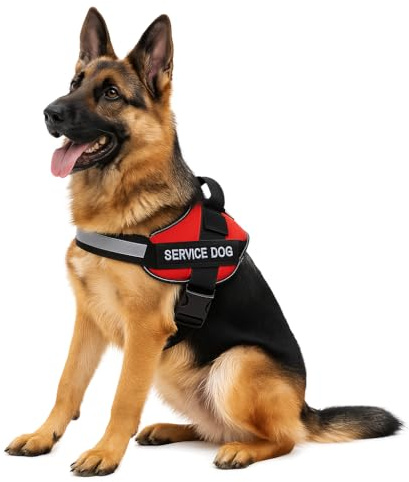 Arnés para Perros Ajustable con Asa y Reflectantes – Arnés Transpirable con Parche “Service Dog”, Hebilla de Seguridad y Velcro Intercambiable.- Varios Coleres y Tallas. (Rojo, XXL)