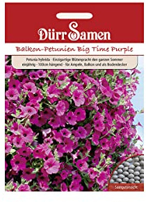 Dürr-Samen - Petunien Purple Wave F1 einjährig 100 cm Saatgut