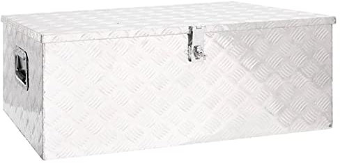 Goliraya Boîte de Rangement Boîte à Outils Boîte en Aluminium pour Stockage et Transport Caisse de Rangement Argenté 100x55x37 cm