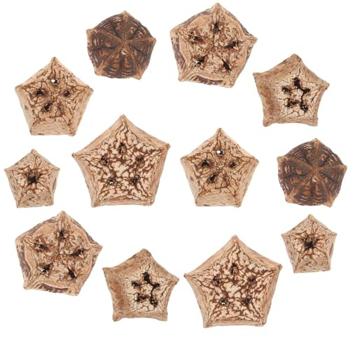 Healifty Giocattolo per Pappagalli da Mordere 12 Pezzi in Frutta Secca Naturale, Accessori da Masticare per Uccelli Domestici, Giochi per Gabbia Stimolanti e Salutari per Pappagalli