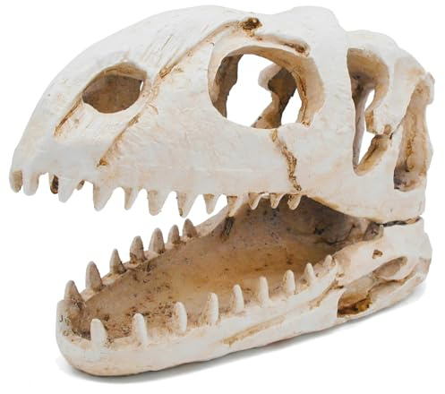 Kocris Casa Dinosauro animale teschio acquario grande decorazione grotta decorazioni per pesci nascondiglio serbatoio Betta tarantola rettile serpente per terrario decorazione ossa Halloween