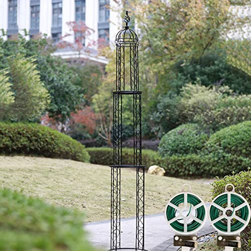 Arche de Jardin Treillis,Obélisque Support Tuteur Colonne métal Arceau à rosier Tuteur Pieu Tuteurs Plantes,Supports pour Plantes Grimpantes,Fleurs,D'arbustes,Ornement de Jardin,with Garden Twist Tie