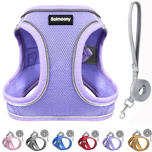 Solmoony Sparkly XS Dog Harness and Leash Set, Step in Soft Light Puppy Vest, Breathable Reflective Pet Harness for Walking, Puppy Harness for Small Dogs Cats (Purple, XS)