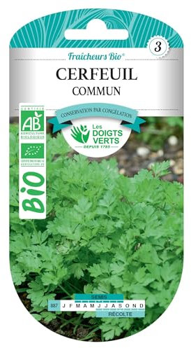 Graines cerfeuil commun BIO Les Doigts Verts