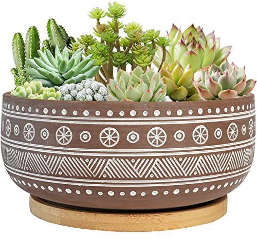 Thirtypot Vaso per piante grasse in terracotta da 20 cm, con foro di drenaggio e vassoio in bambù, vaso rotondo per bonsai poco profondo marrone per piante da interno
