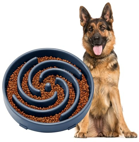 JASGOOD Slow Feeder Dogs Bowl for Large Medium Dogs,Anti-Gulping Pet Slower Food Feeding Bowls Stop Bloat,Preventing Choking Healthy Design Dogs Bowl
