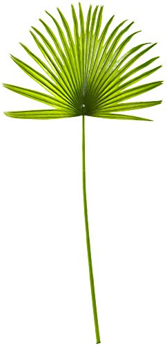 Nearly Natural 33in. Fan Palm Artificial Spray Plant (Set of 6)