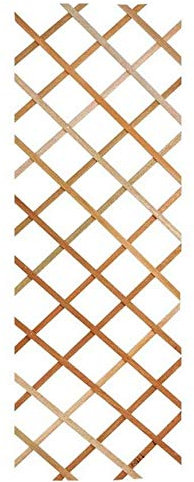 Traliccio Grigliato Reticolato in legno naturale estensibile per piante e fiori rampicanti per balconi, terrazze e giardino (100X300 CM)