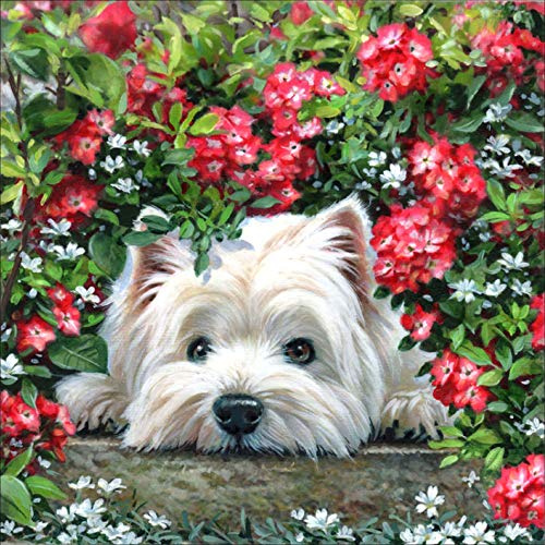 Bimkole 5D Diamond Painting Tillbehör Katt Hund Blomma Bilder, Gör-det-själv Djur Diamant Målning Kit Djur Full Rund Borr Måla Efter Siffror Målning Broderi Korsstygn Diamant Dekoration (30 X 30 cm)
