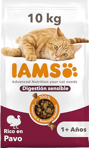 IAMS Sensible matsmältning kattmat torr med kalkon – torrfoder för katter med känsliga magar från 1 år, 10 kg