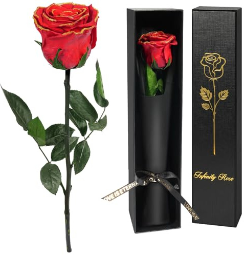 Yamonic Rosa Stabilizzata Regalo Donna,Festa della Mamma Idee Regalo,Rosa Eterna con Steli Regali per Donne Compleanno,Regali Festa della Mamma,Vera Rosa San Valentino per Lei