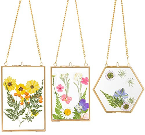 3 Packs Pressed Flowers Glass Frames- Golden Hanging Glass Picture Frames with Chain Floating DIY Artwork Display Frames in 3 Sizes for Dried Plant Specimen Kids Art Photo Display Gallery Wall Decor