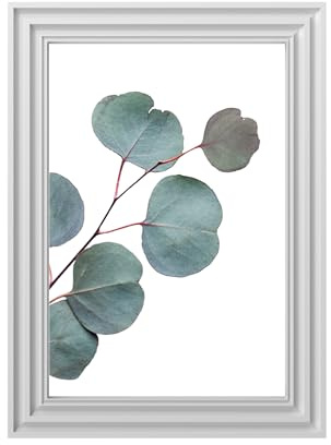 Din A4 Kunstdruck ohne Rahmen - Eukalyptus Blätter grün Fotokunst Natur Pflanze Druck Poster Bild
