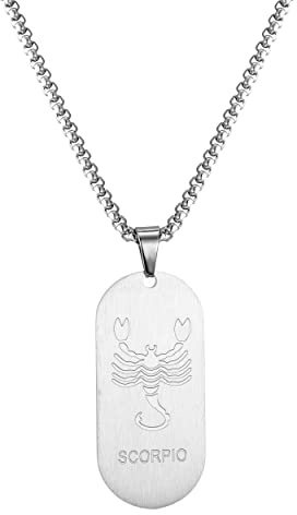 AFSTALR Collier Signe Astrologique Scorpion Pendentif Argent Zodiaque Collier Cadeau de Noël Hommes
