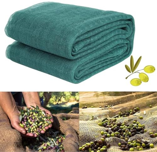 Viceree Rete per Raccolta Olive 6x8 Metri - Telo Raccolta Olive Professionale Con Angolo Rinforzato - Rete Raccolta Olive Antispina 50g/m² - Rete Olive Massimizza il Raccolto