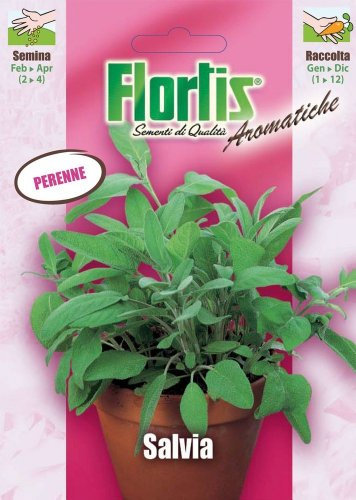 Flortis 4357045 Salbei (Salbeisamen)