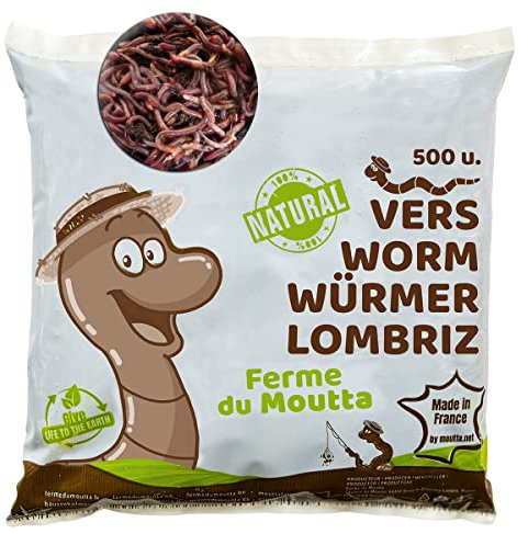 Moutta | 250 gr de Vers de Compost | Vers de terre vivants Eisenia, compostez vos déchets organiques - Pour lombricomposteur/composteur/jardin