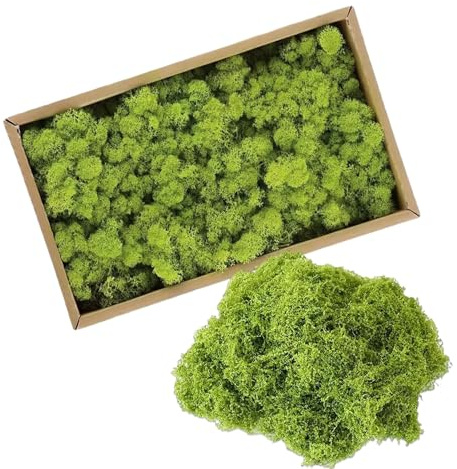 ZIOYA Musgo Artificial 270g Musgo Preservado Natural Musgo Decoracion para Manualidades, Musgo Conservado, Decoración del Hogar, Pascua