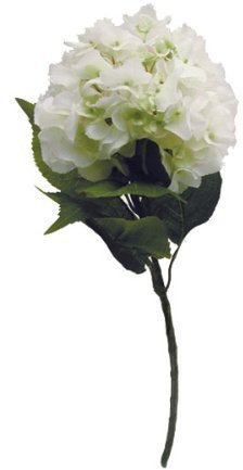 FloristryWarehouse Tige d'hortensia artificiel Blanc 60 cm