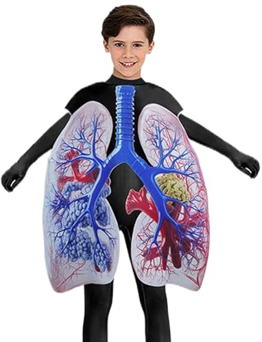 Generisk Lungedräkt, Lungen rollspel-outfit | Lunglig andningssystem-outfit – för barn, vuxna, karneval, scenföreställning, klassrum, vetenskapliga förvisningar
