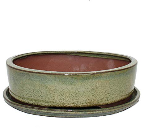 Exotenherz - Bonsai-Schale mit Unterteller Gr. 4 - Oliv-Braun - oval - Modell O1 - L 25cm - B 20cm - H 7,5cm