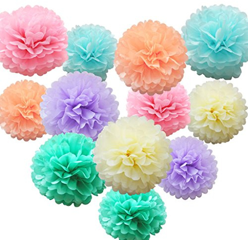iShyan 12 Pcs Assorted Rainbow Colors Tissue Paper Pom Poms Flower Balls for Birthday Wedding Party Baby Shower Decorations