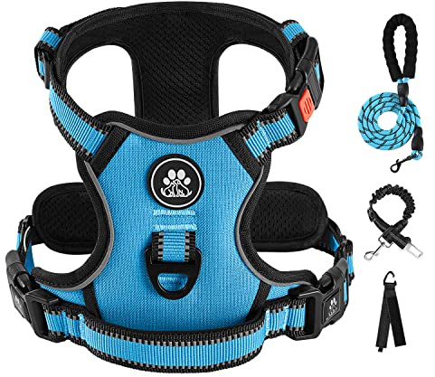 IVY&LANE No Pull Dog Harness for Medium Dogs, Dog Vest Harness with Leash, Safety Belt and Storage Strap, Fully Adjustable, 360° Reflective Strip, Soft Handle (Blue, M)