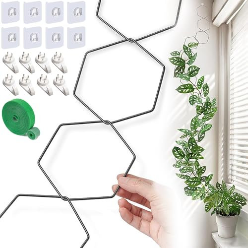 20 Stück Pentagon Kettenspalier für Kletterpflanzen, Rankgitter für Kletterpflanzen, Pflanzenrankenstütze mit 16 Wandhaken und 2M Bändern, Rankhilfe DIY für Kletterpflanzen Spalier Zimmerpflanzen