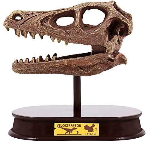 ArtCreativity Dinosaur Excavation Kit for Kids, Velociraptor Skull Excavating Set with Fossil Digging Tools and Stand, Fun Science Activity Toy, Educational Dinosaur Gift for Boys and Girls