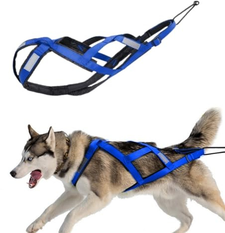 Générique Harnais de Traction pour Chien avec Bandes réfléchissantese, Harnais de traîneau imperméable pour Chiens, Harnais de Traction pour Exercices de Chiens, Ski attelé et traîneau de (Bleu, XXL)