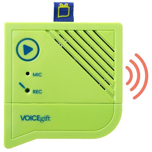 Voice-Over 60s Voice Recorder for Picture Frames, Books, Blankets, Quilts, Albums, and Scrap Books for Personal Message Playback (1 Pack)