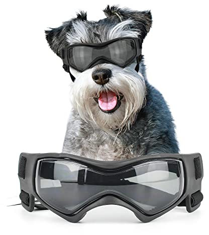 NAMSAN Hundebrille, Größe M, Anti-UV-Blendung, für kleine bis mittelgroße Hunde, Motorradbrille, verstellbar, Schutzbrille, kühles Schwarz