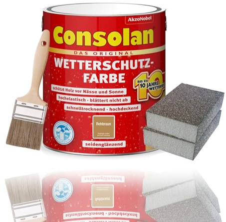 Consolan Kit de peinture de protection contre les intempéries - 2,5 l - Pour bois - Protection durable - Couvrant - Avec accessoires (marron rose)