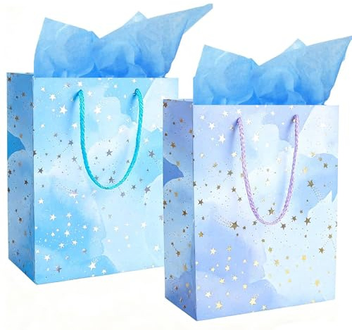 MtnLaur 2Pcs Gift Bag, Paper Party Bag with 2 Pcs Tissue Paper, Birthday Gift Bag, Wrapping Gift Bags with handles, Small Size Present Bag for Birthday Kids Wedding Baby Shower Christams (Type 2)