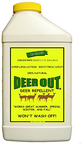 Deer Out 32oz Concentrate Deer Repellent