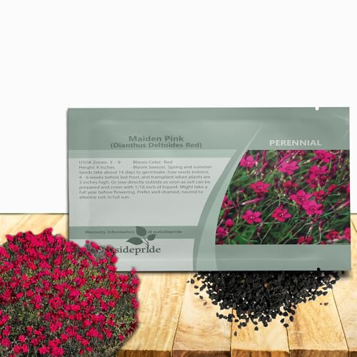 Outsidepride Deltoides Maiden Pink Dianthus Seeds for Planting - 5000 Pcs Easy to Grow Hardy Perennial Flower Seeds with Colorful & Fragrant Blooms for Mixed Plantings, Containers & Pollinator Gardens