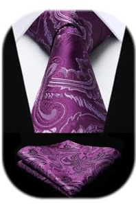 HISDERN Mens Paisley Tie and Handkerchief Set Purple Necktie and Pocket Square Extra Long Ties for Men Formal Wedding Neckties, 8.5CM, 160CM