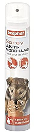 BEAPHAR – Spray anti-mordillage pour chien – Idéal pour les chiots – Contre les mordillements – Protège les chaussures, tapis, meubles, canapé, etc – Pratique à utiliser – Prêt à l'emploi – 125 ml