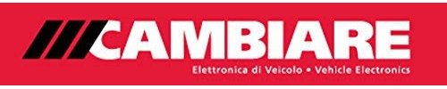 Cambiare Radiator Fan Switch - VE709048