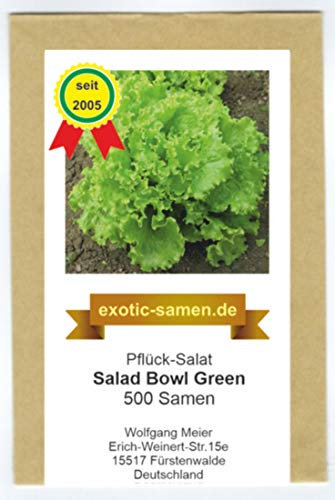 Pflück-Salat - Salad Bowl Green (500 Samen)