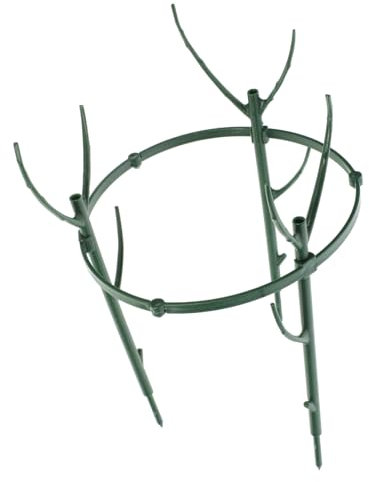 OKUMEYR Pflanzenstützrahmen Spalier Für Kletterpflanze Pflanzenspalier Klettergerüste Für Orchideen Pflanzengitter Für Drinnen Gartenbedarf Pflanzenstützgestell Pfahlunterstützung Green Pp