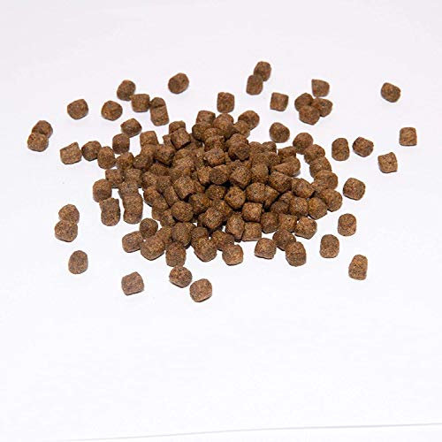 Warnick´s Tierfutterservice Koi Koifutter * Top Energy Plus * 15Liter Wachstumsfutter Fischfutter (3-6mm)