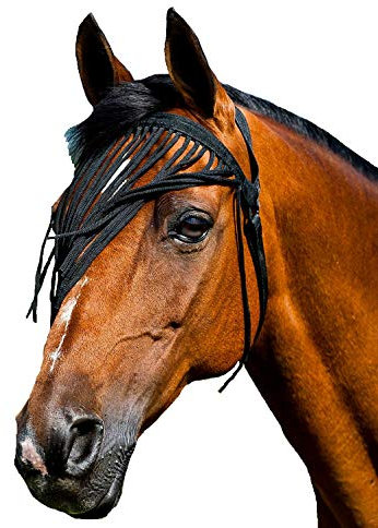 netproshop Fliegenschutz mit Fransen tragbar ohne Halfter aus weichem Polyester Pony-Full, Auswahl:Full