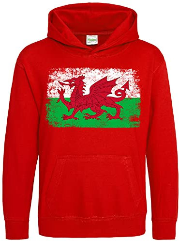 Purple Print House Wales Flag Kids Hoodie, Wales World Football Gifts for Boys and Girls, Welsh Soccer Supporters Cup Hooded Top 2022, 12-13 Years, Red