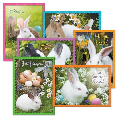Current Photo Bunny Border Easter Greeting Card Set - Value Pack of 12 Cards for Kids & Adults With White Envelopes, 12 Design Prints, Large 5 x 7 Greetings