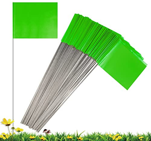 IKAYAS Lot de 100 drapeaux de marquage pour pelouse - 10,2 x 12,7 x 38,1 cm - En PVC vert - Petits marqueurs de cour, jardin, arpentage, irrigation, paysage